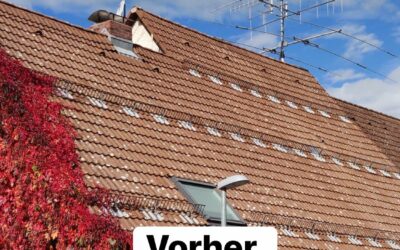 Vor ca. 1 Jahr hat unser Team ein Beton-Dach „Frankfurter Pf…
